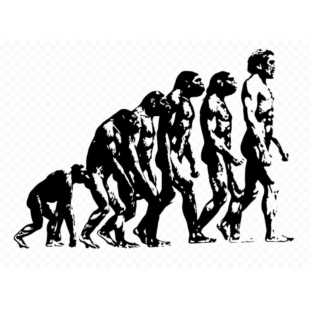 Evolution of CRO
